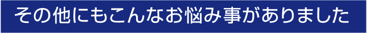 その他にもこんなお悩み事がありました