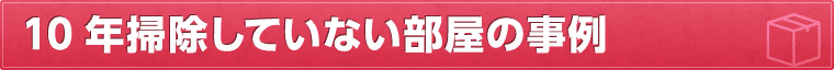 10年掃除していない部屋の事例