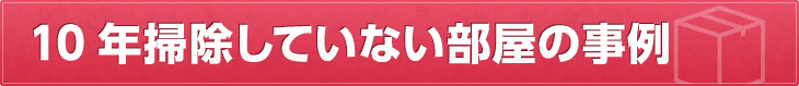 10年清掃していない部屋の事例