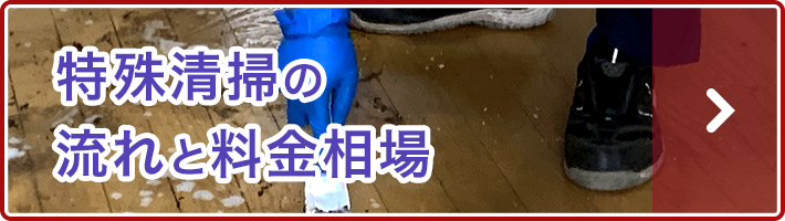 特殊清掃の流れと料金相場